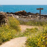 Località balneare "Vendicari"
Soffice sabbia bianca circondata da una fitta vegetazione mediterranea